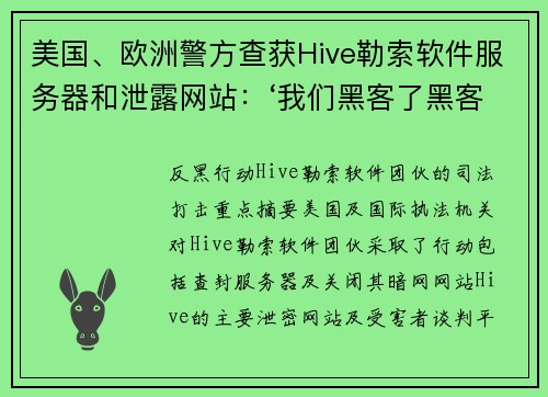 美国、欧洲警方查获Hive勒索软件服务器和泄露网站:‘我们黑客了黑客’ 媒体