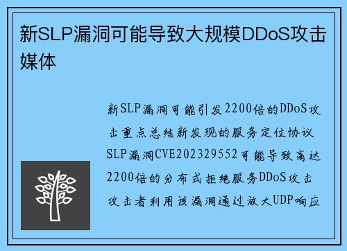 新SLP漏洞可能导致大规模DDoS攻击 媒体