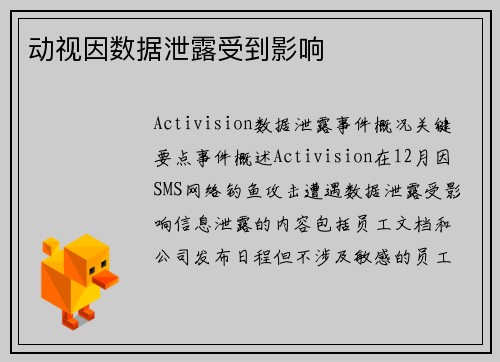 动视因数据泄露受到影响